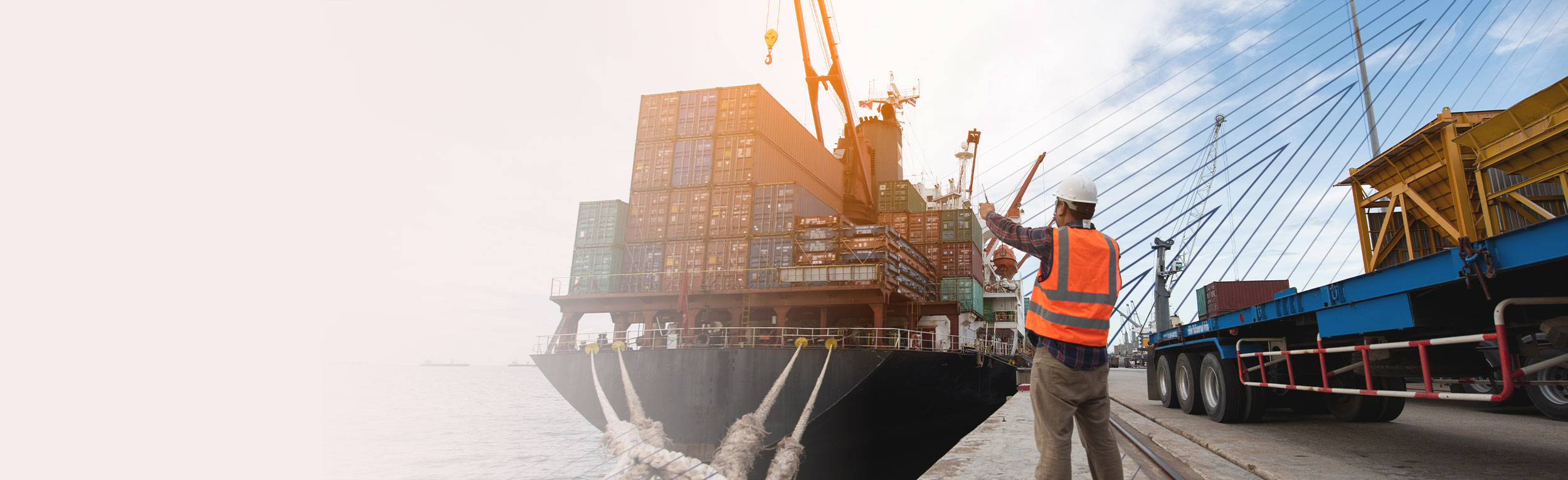 services-advisory-risk-management-compliance-trade-remedies-header